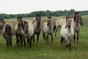 Miniatura zdjęcia 3