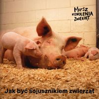 Miniatura zdjęcia 1