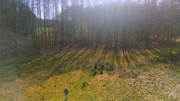 Miniatura zdjęcia 2