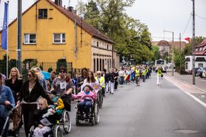 Miniatura zdjęcia 6