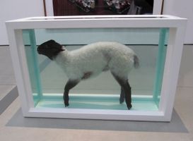 Miniatura zdjęcia 2