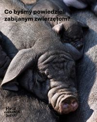 Miniatura zdjęcia 1