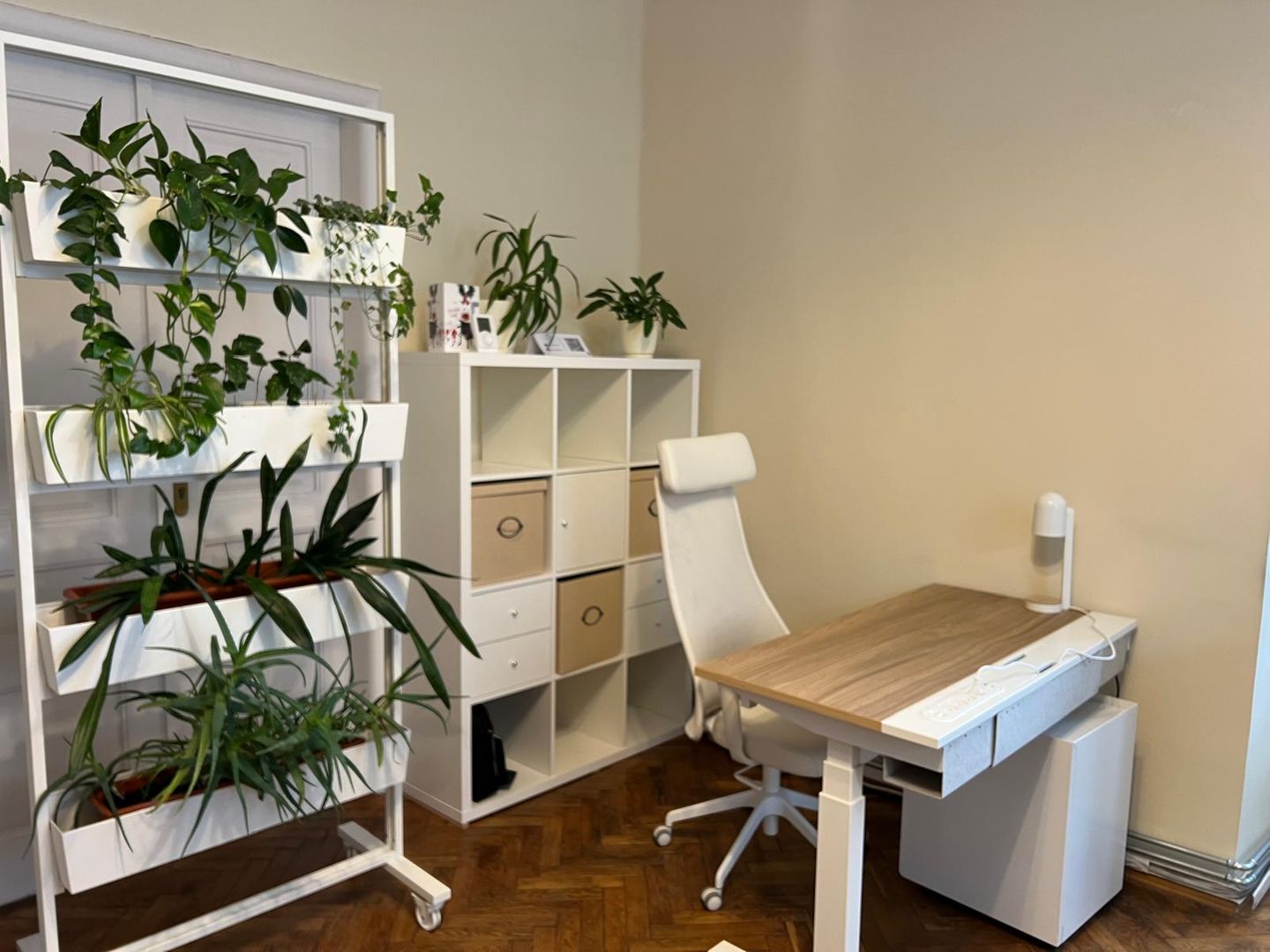 Kameralne stanowisko pracy w biurze coworkingowym — regulowane biurko z drewnianym blatem, biały ergonomiczny fotel, regał na dokumenty i ozdobna ścianka z roślinami doniczkowymi.
