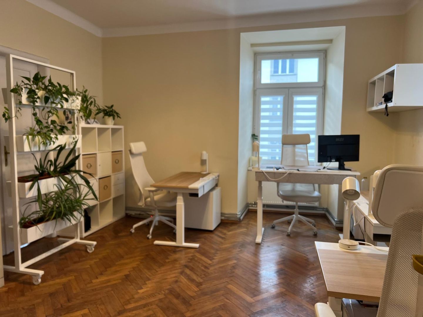 Jasne biuro do wynajęcia z parkietem w jodełkę, dużym oknem, dwoma regulowanymi biurkami, ergonomicznymi fotelami, regałem z półkami oraz mobilną ścianką z zielonymi roślinami.