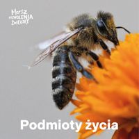 Miniatura zdjęcia 1