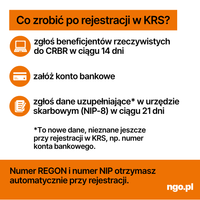 Miniatura zdjęcia 8