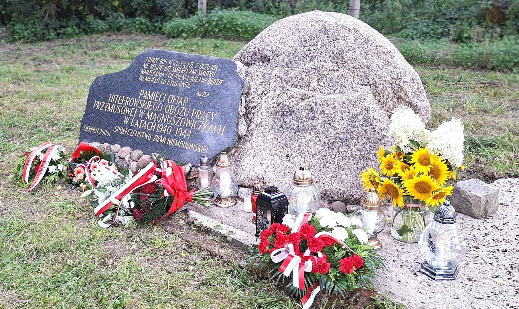 Leśnej polanie w Magnuszowiczkach - pomnik-tablica – Miejscu  Pamięci Narodowej na trenie byłego obozu pracy przymusowej Zwangsarbeitslager Klein Mangersdorf.