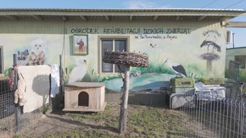 Miniatura zdjęcia 1