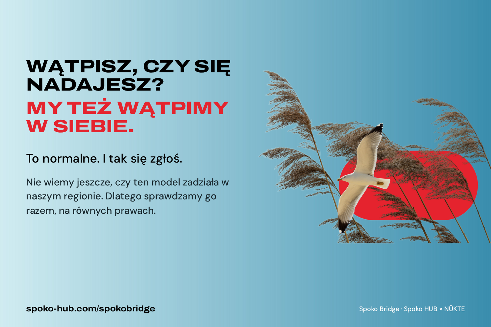Grafika z napisem: „Wątpisz, czy się nadajesz? My też wątpimy w siebie. To normalne. I tak się zgłoś”. Obok kolaż: mewa lecąca nad trzcinami na tle czerwonego kształtu i niebieskiego nieba.