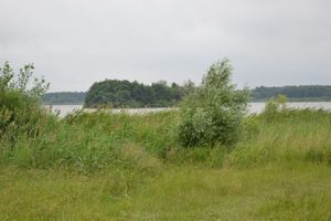 Miniatura zdjęcia 2