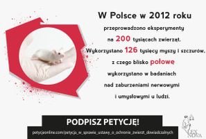 Miniatura zdjęcia 1