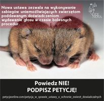 Miniatura zdjęcia 2
