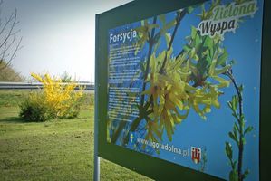 Miniatura zdjęcia 1