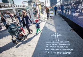 Miniatura zdjęcia 12