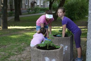Miniatura zdjęcia 14