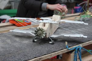 Miniatura zdjęcia 13