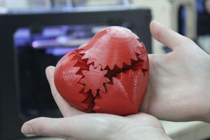 Miniatura zdjęcia 7