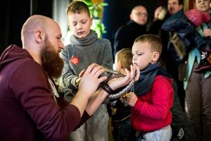 Miniatura zdjęcia 6