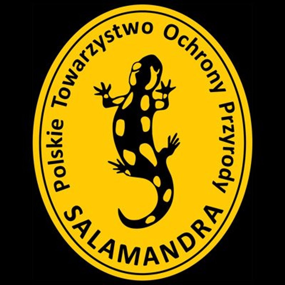 Polskie Towarzystwo Ochrony Przyrody Salamandra Profil Ngo Pl
