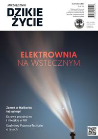 Miniatura zdjęcia 1