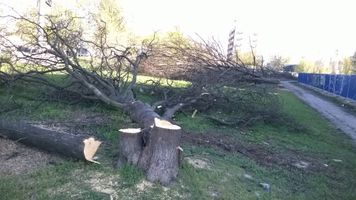Miniatura zdjęcia 3