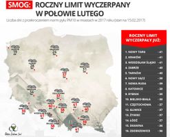 Miniatura zdjęcia 2