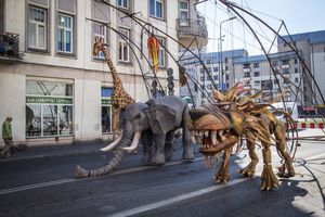 Miniatura zdjęcia 12