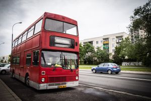 Miniatura zdjęcia 8