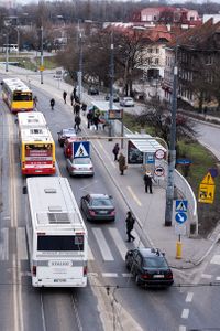 Miniatura zdjęcia 3