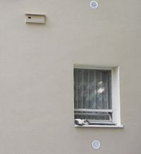 Miniatura zdjęcia 5