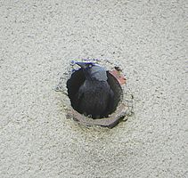 Miniatura zdjęcia 6