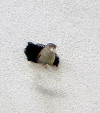 Miniatura zdjęcia 16